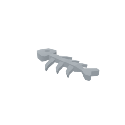 Fish Bones